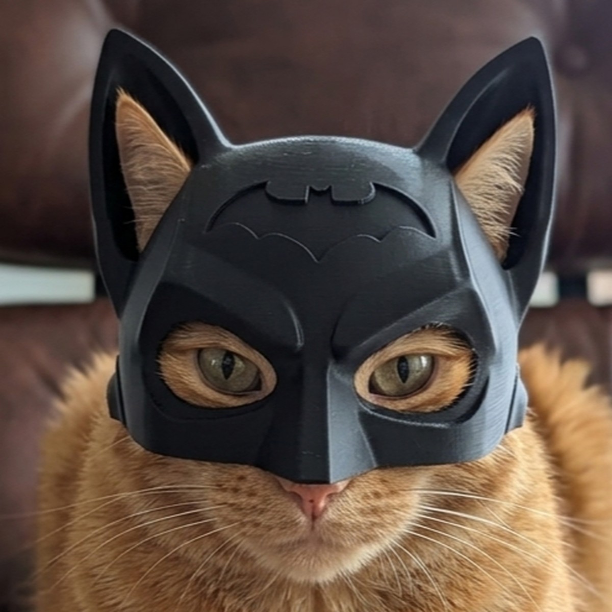 Capacete de Gato Herói Morcego
