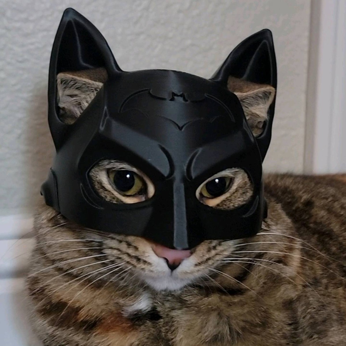Capacete de Gato Herói Morcego - Imagem 5